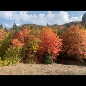 Meet your Posher, Gordon